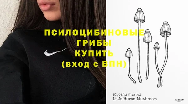 мяу мяу кристалл Медвежьегорск