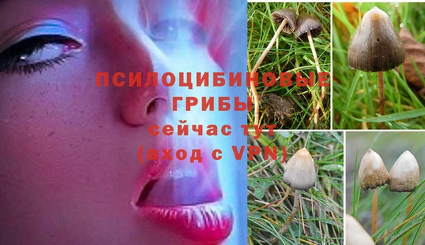 гидра Медногорск