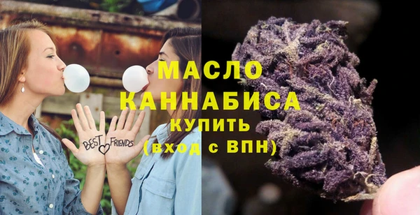 гидра Медногорск