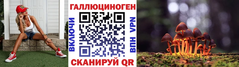 маркетплейс состав  Сясьстрой  Галлюциногенные грибы Psilocybine cubensis 