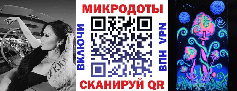 Псилоцибиновые грибы Psilocybe Сясьстрой